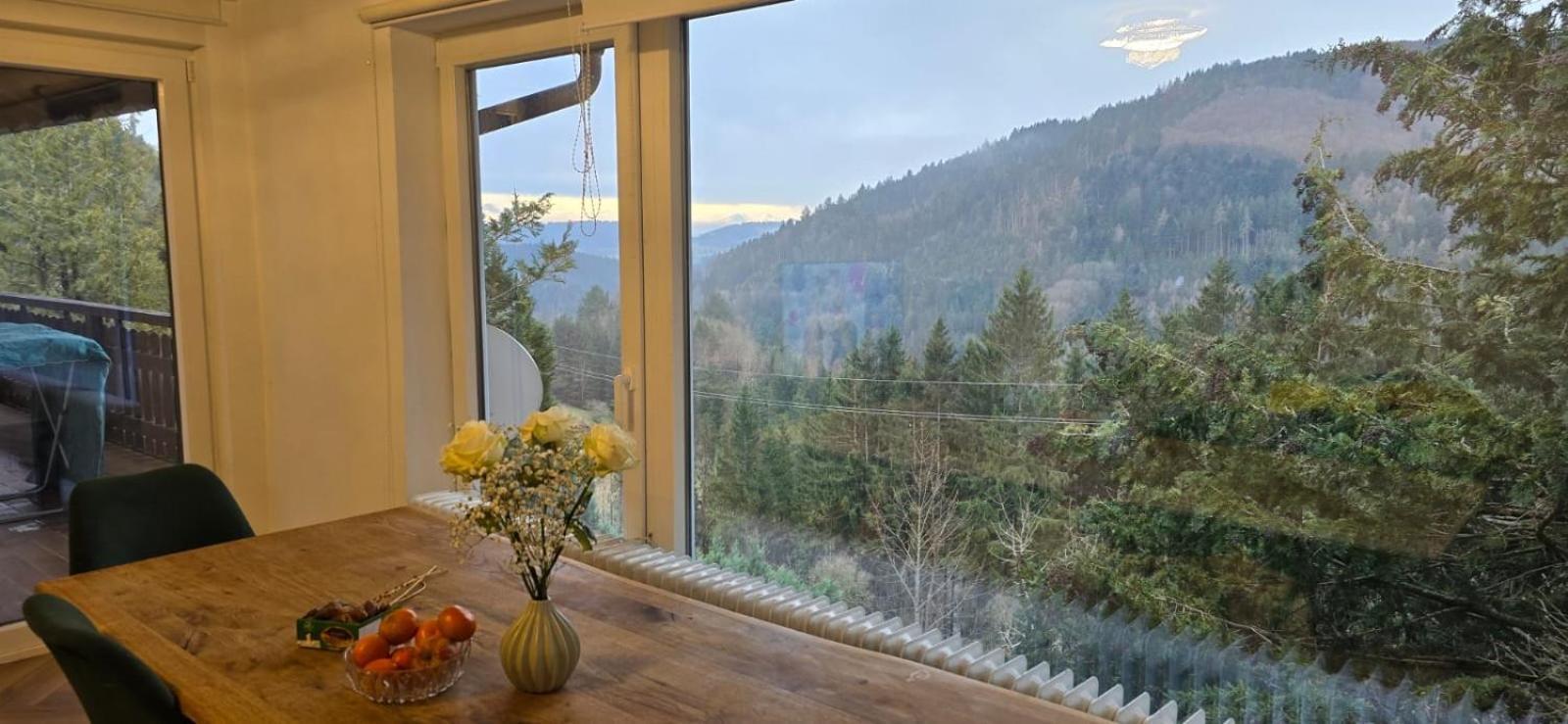 Wohnung Im Schwarzwald Mit Panorama Blick Kleines Wiesental Esterno foto
