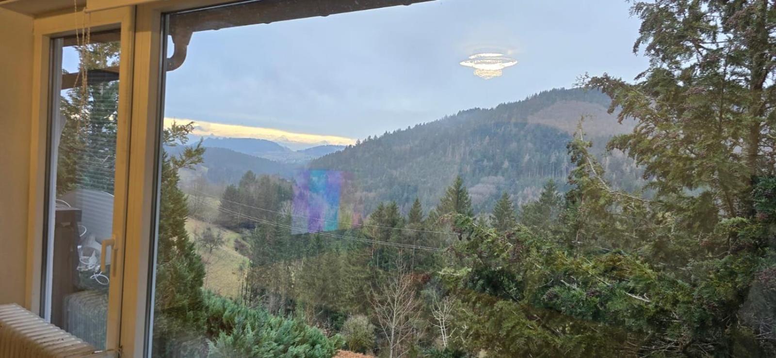 Wohnung Im Schwarzwald Mit Panorama Blick Kleines Wiesental Esterno foto